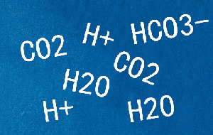 实验室纯水机产出RO水呈酸性pH值比进水低原因