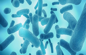 如何减少超纯水机内的微生物生长？