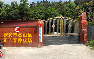雅安市名山区正吉泰种猪场