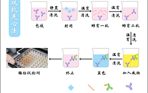 酶标洗板机用纯水要求