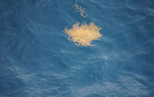 天然水中的杂质对水质的影响