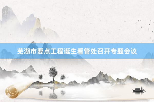 芜湖市要点工程诞生看管处召开专题会议